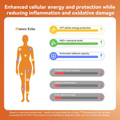 60-capsule bottle of Nature Echo supplement