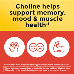 Choline supplement for mood and memory support