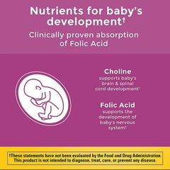 Illustration of baby's brain and spinal development nutrients for prenatal gummies