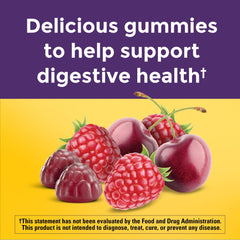 Digestive health benefits illustration for Nature Made probiotics