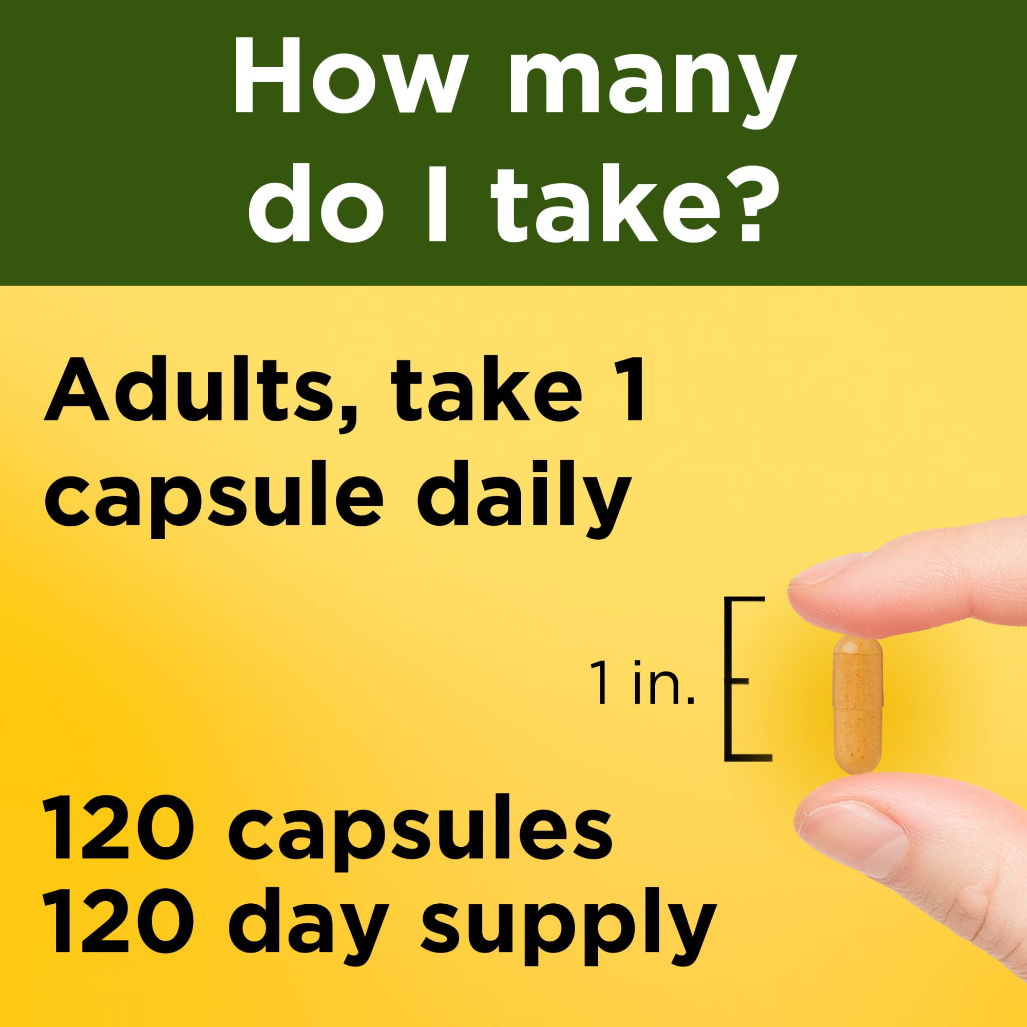 Gluten-free Nature Made Turmeric Curcumin 500 mg capsules