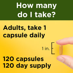 Gluten-free Nature Made Turmeric Curcumin 500 mg capsules