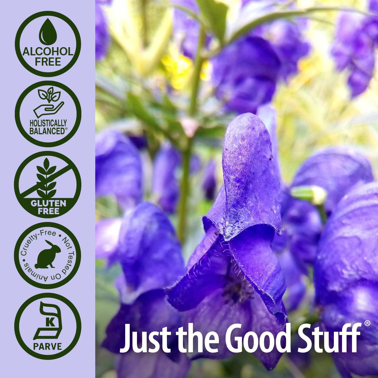 1-ounce bottle of skullcap herb Nature's Answer with label