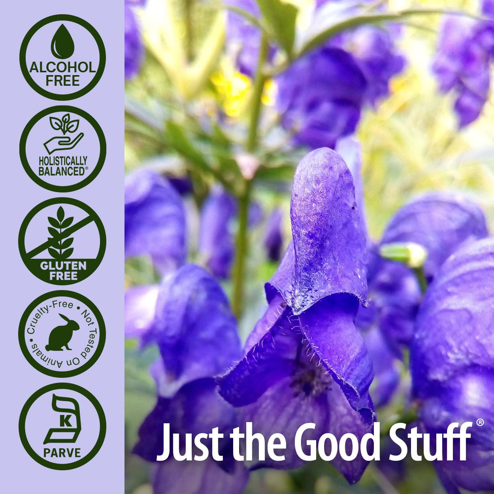 1-ounce bottle of skullcap herb Nature's Answer with label