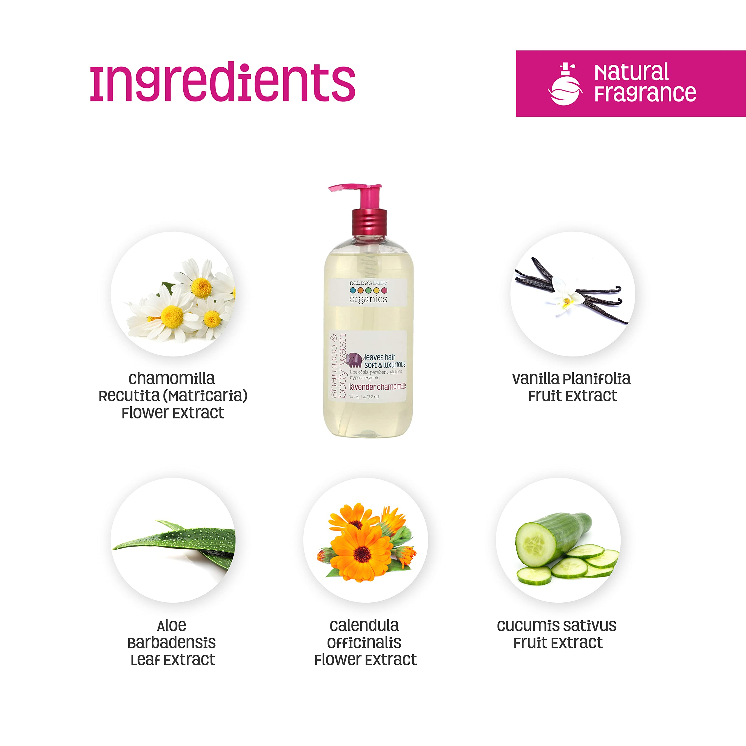 Close-up of Organic Aloe, Calendula and Chamomile ingredients