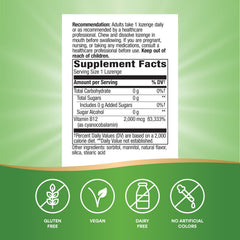 Nature's Way Vitamin B12 lozenge 2-pack packaging