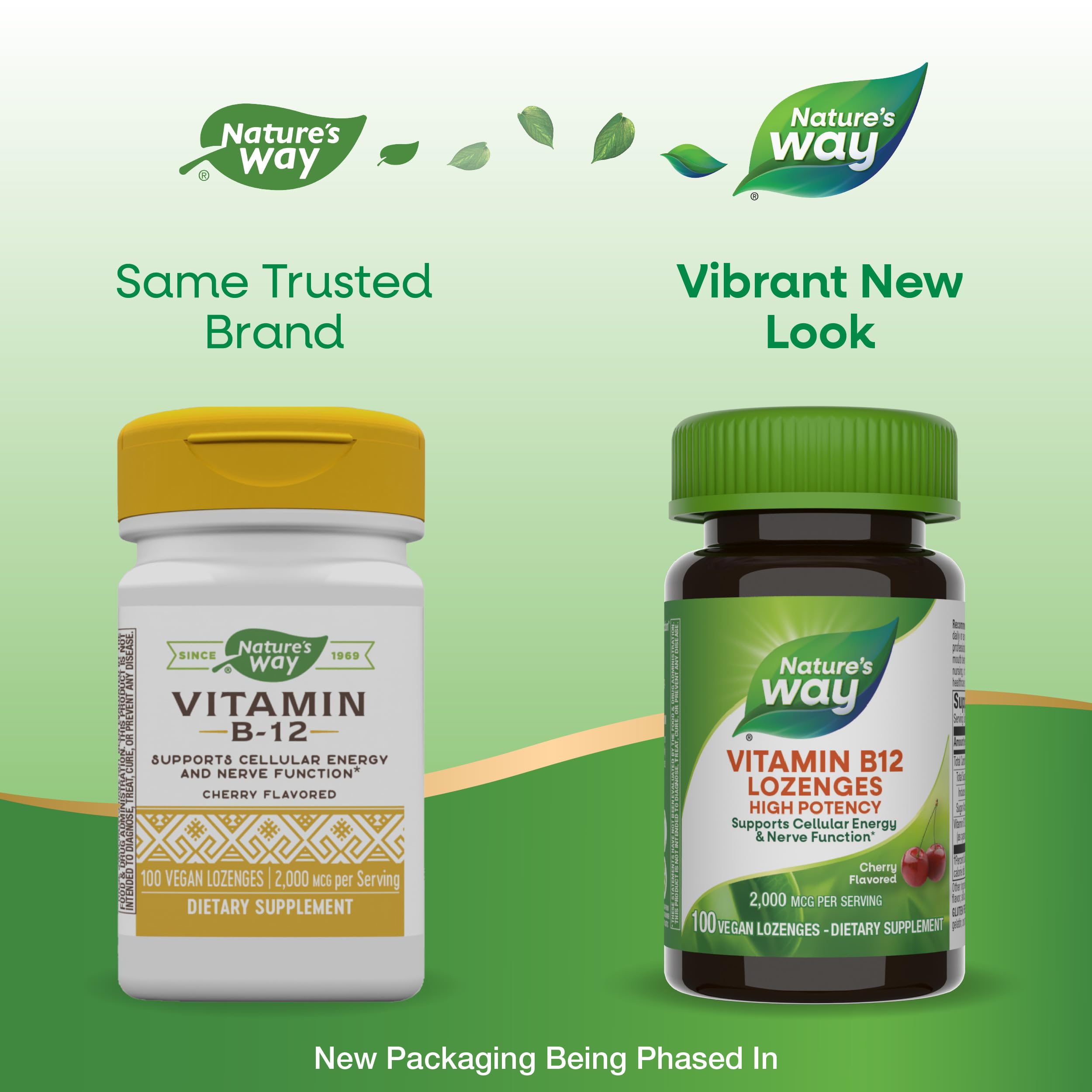 Ingredients panel for Nature's Way Vitamin B12 lozenge