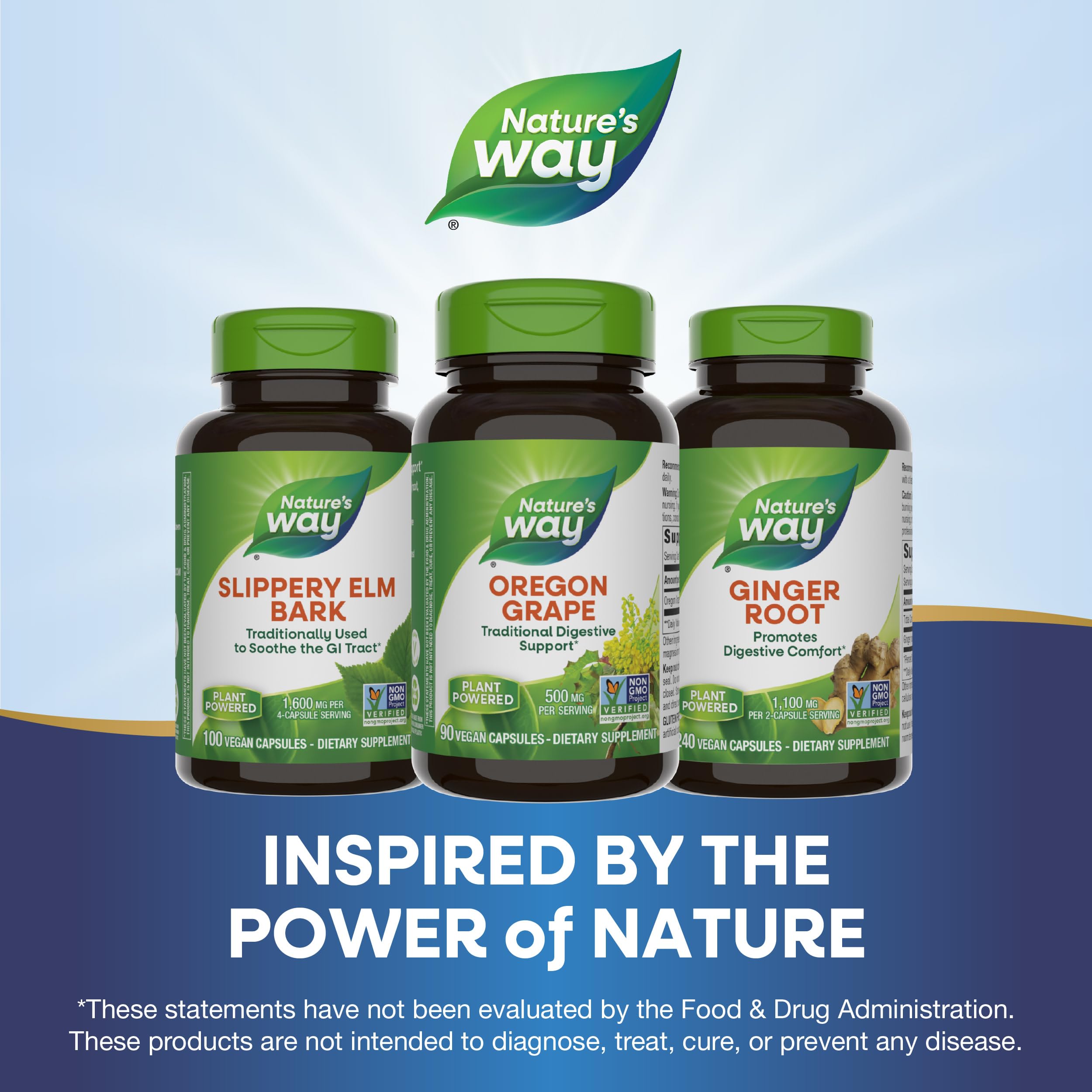Supplement facts panel for Nature's Way Oregon Grape