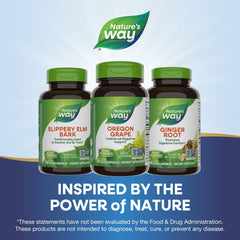 Supplement facts panel for Nature's Way Oregon Grape