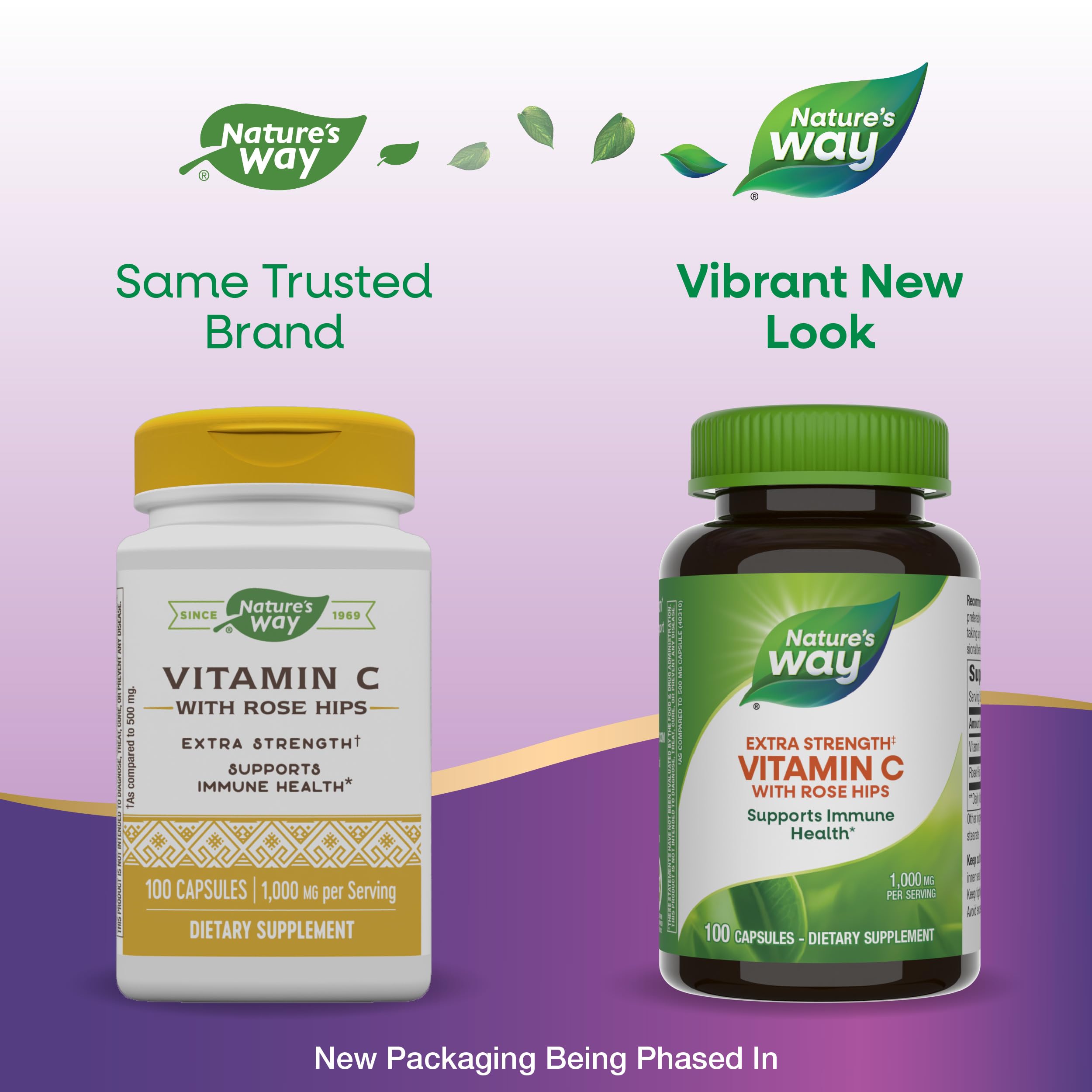 Ingredient panel for Nature's Way Vitamin C with Rose Hips 1000 mg