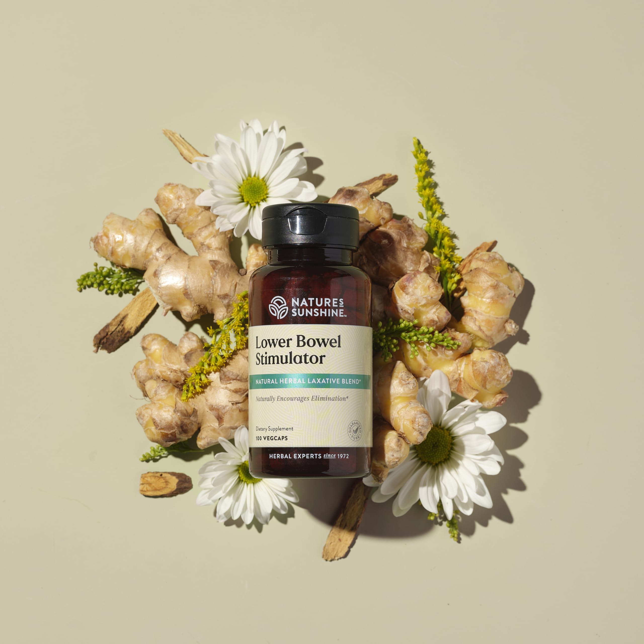 Nature's Sunshine Lower Bowel Stimulator ginger feature image highlighting soothing digestion benefits.