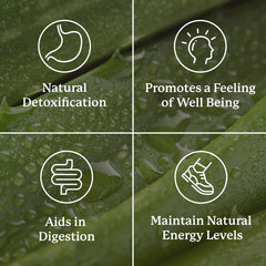 Nature's Sunshine Lower Bowel Stimulator ginger feature image highlighting soothing digestion benefits.