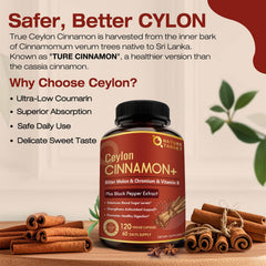 Vitamin B complex in cinnamon capsules