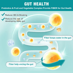 Gut health and immune support infographic
