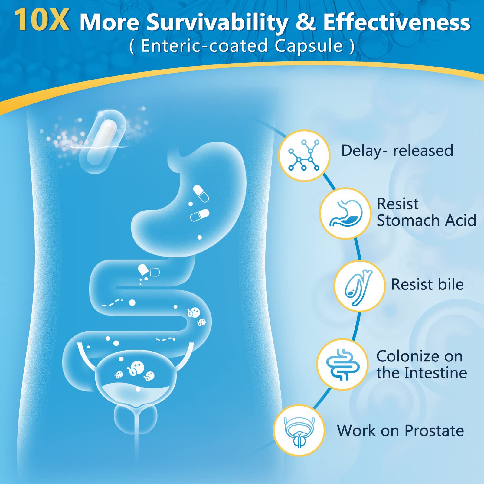 Prostate and urinary tract health support