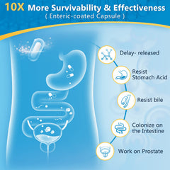 Prostate and urinary tract health support