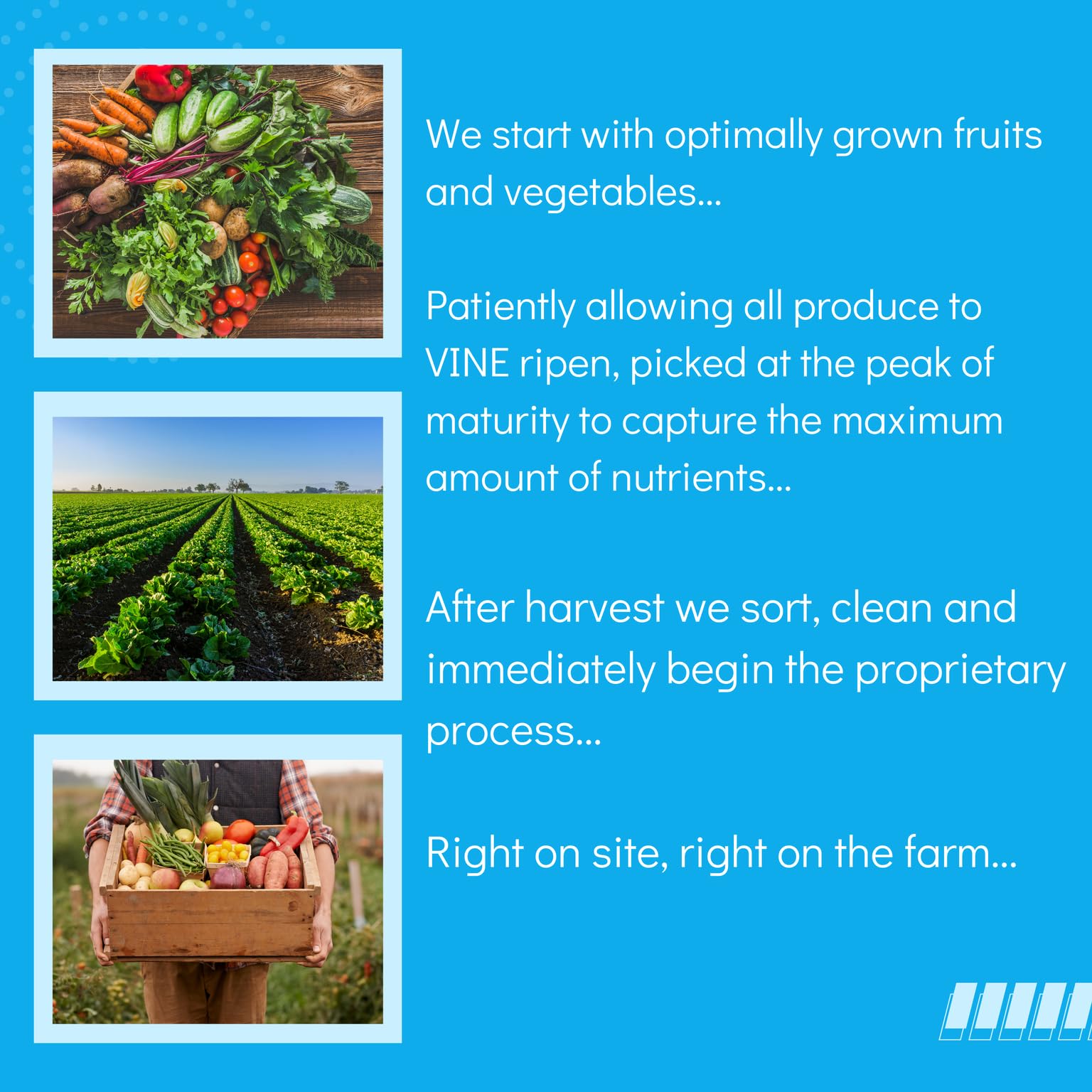Icons indicating vegan, non-GMO, gluten-free