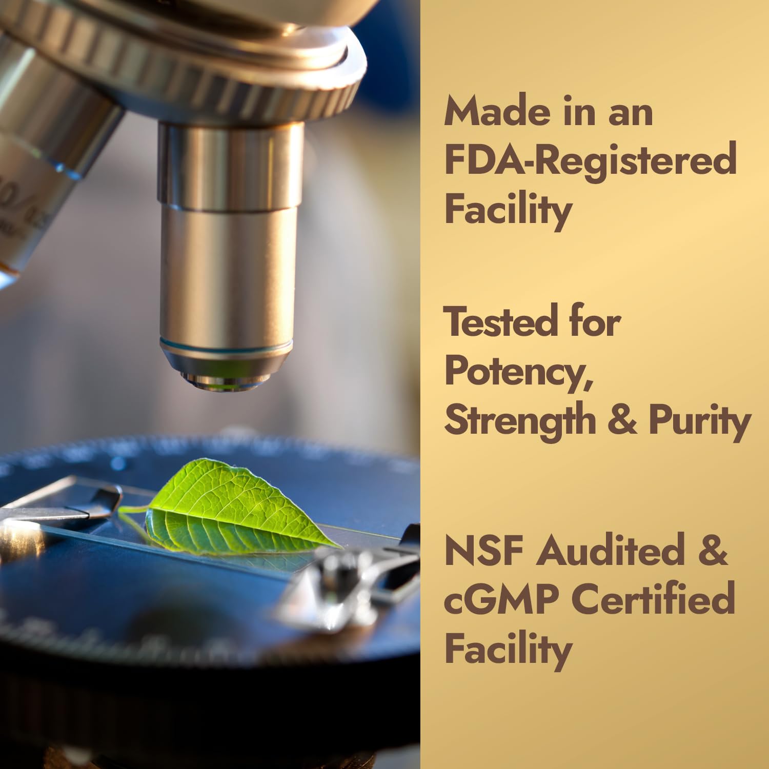 Quality assurance and cGMP certification graphic