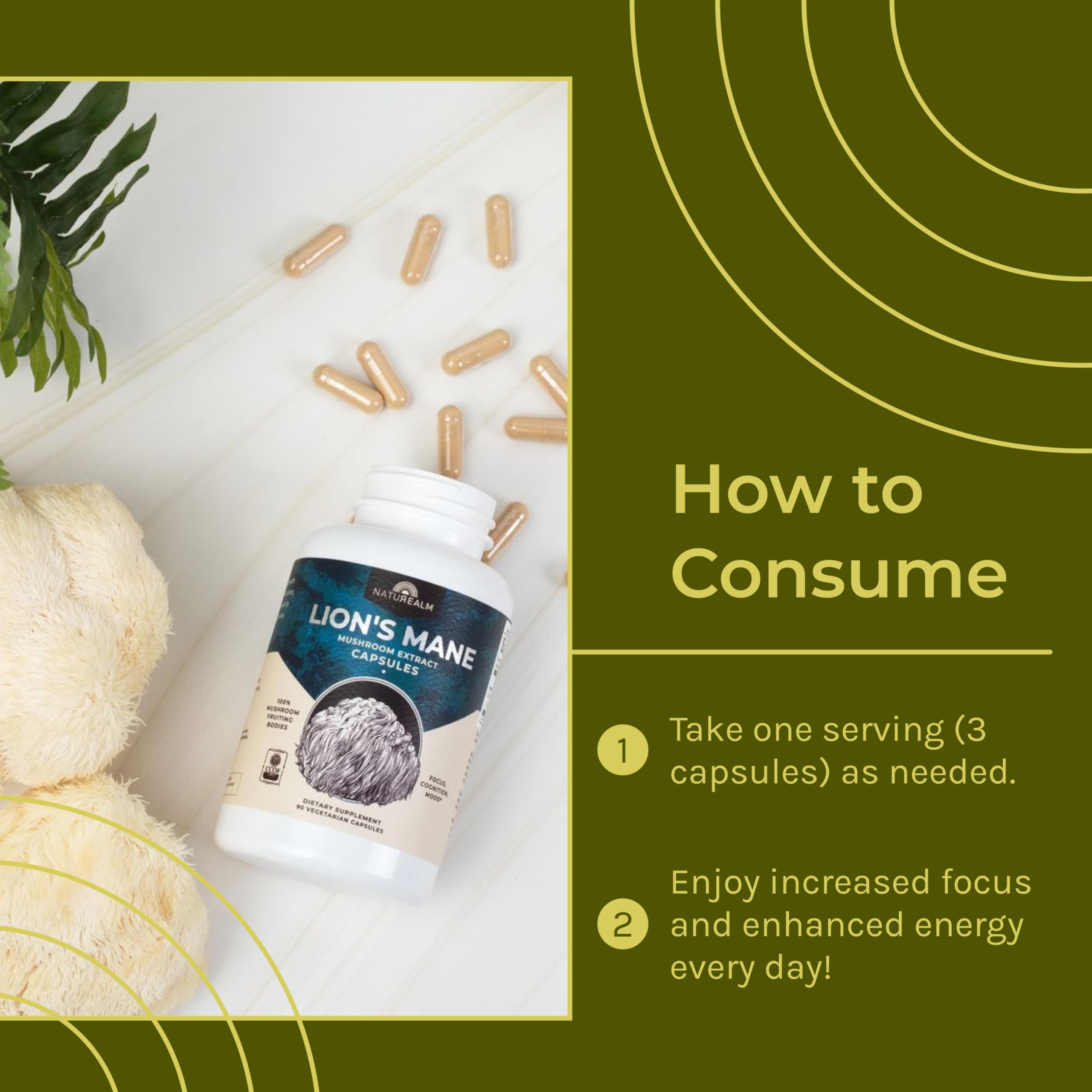 Lions Mane mushroom supplement ingredients overview