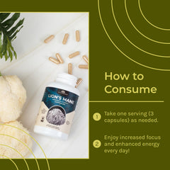Lions Mane mushroom supplement ingredients overview