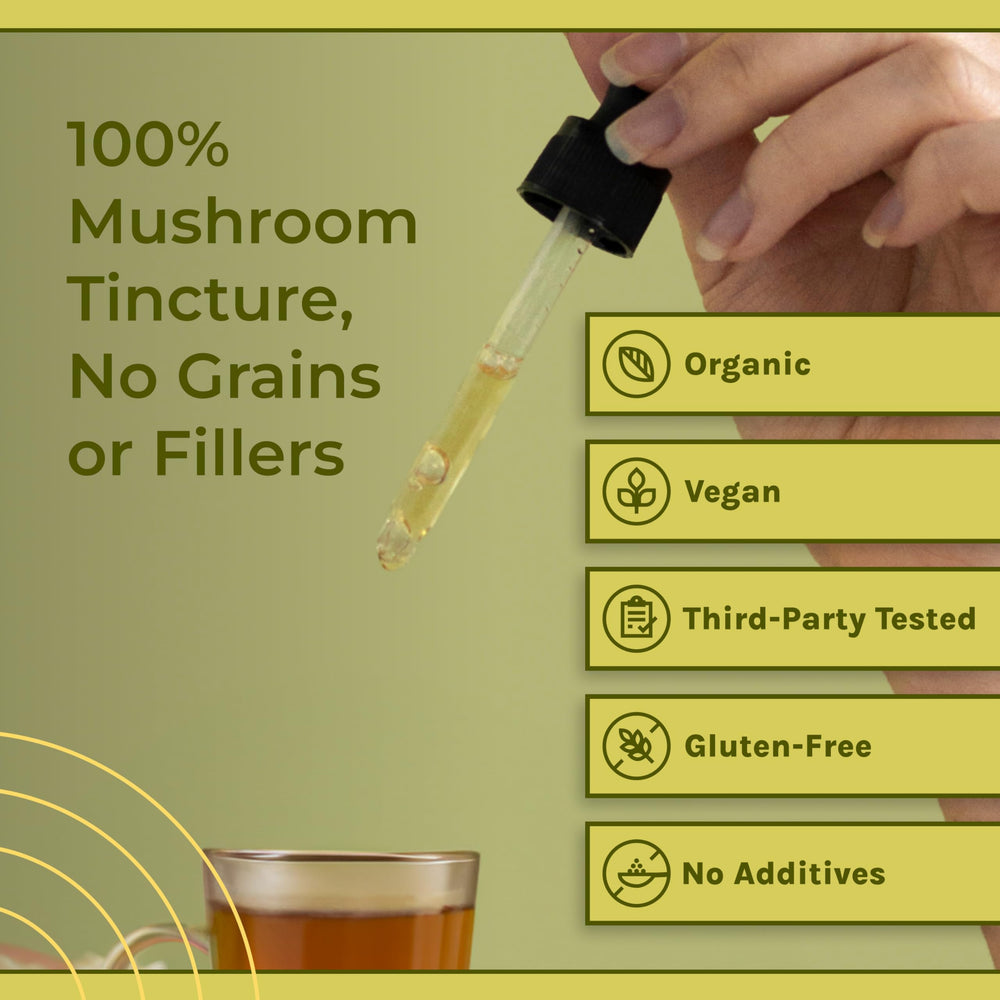 Graphic highlighting memory and focus benefits of Lion's Mane
