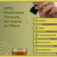 Graphic highlighting memory and focus benefits of Lion's Mane