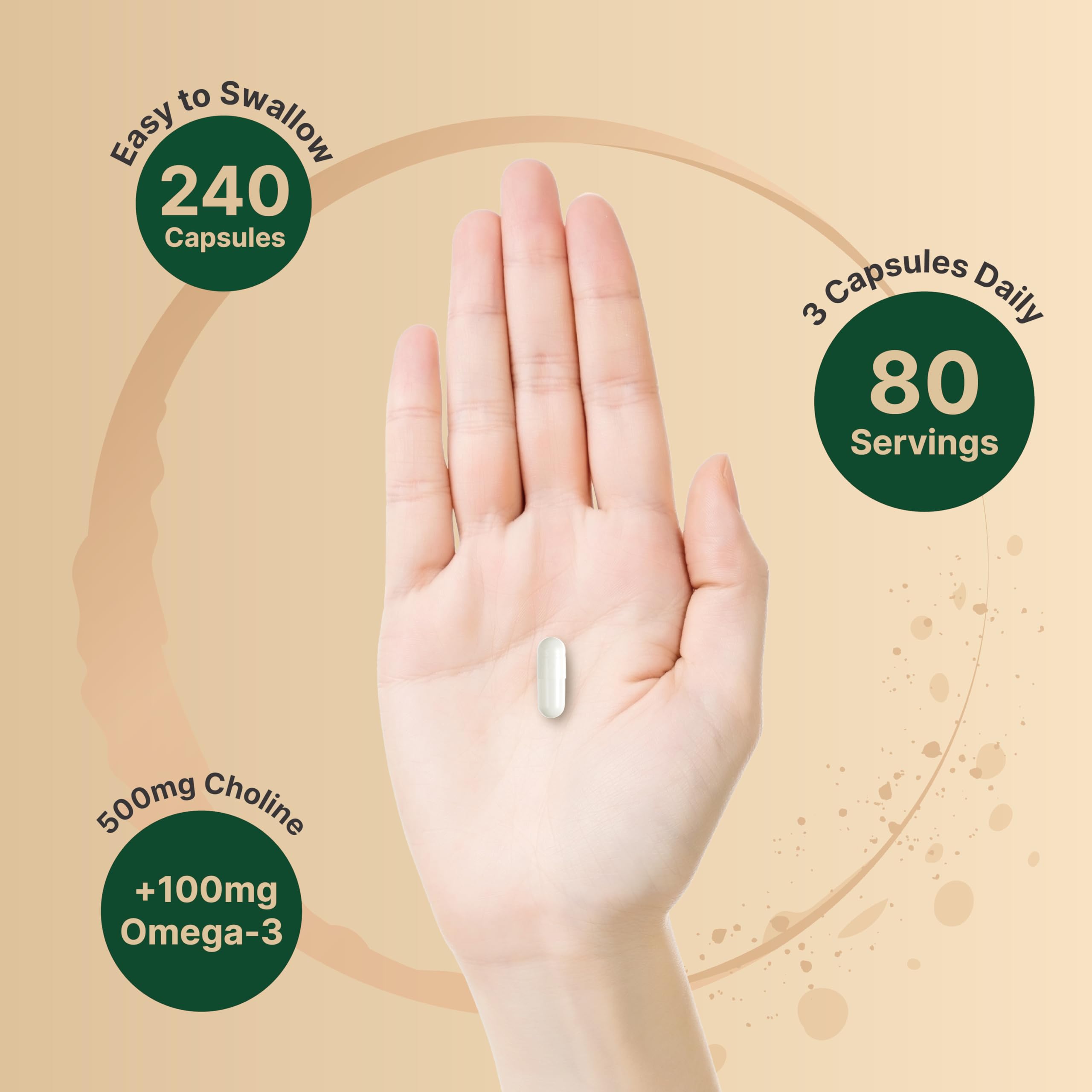 Bottle with 240 capsules, 80-day supply