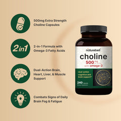 Bottle label highlights 240 capsules and 500mg choline