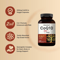 Brain antioxidant support from CoQ10 and PQQ