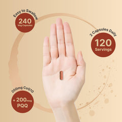 NatureBell CoQ10 and PQQ energy boost and vitality benefits