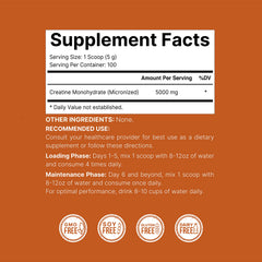 Fine micronized creatine powder texture