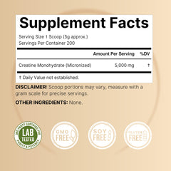 Micronized creatine powder texture close-up