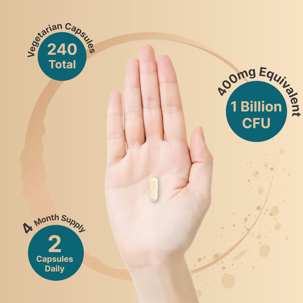 Graphic showing 400mg per serving and 20 enzymes with 5 prebiotics