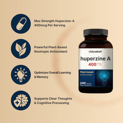 Scientifically formulated nootropic supplement for brain health