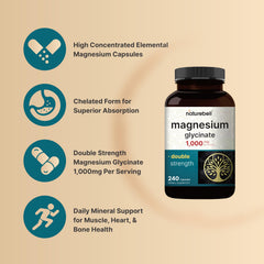 Diagram showing magnesium bioavailability and absorption