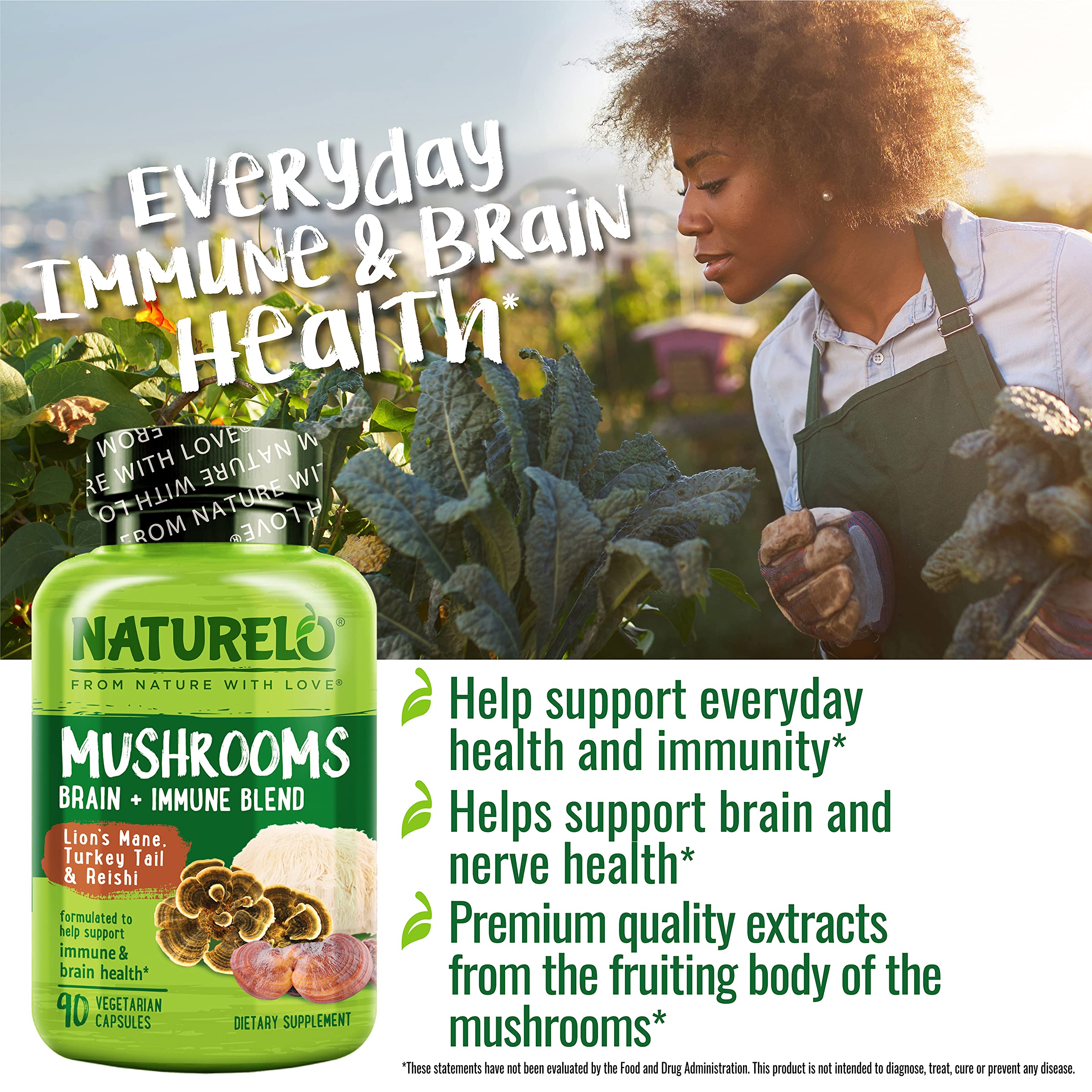 Organic mushroom extracts beta-glucan certification visuals