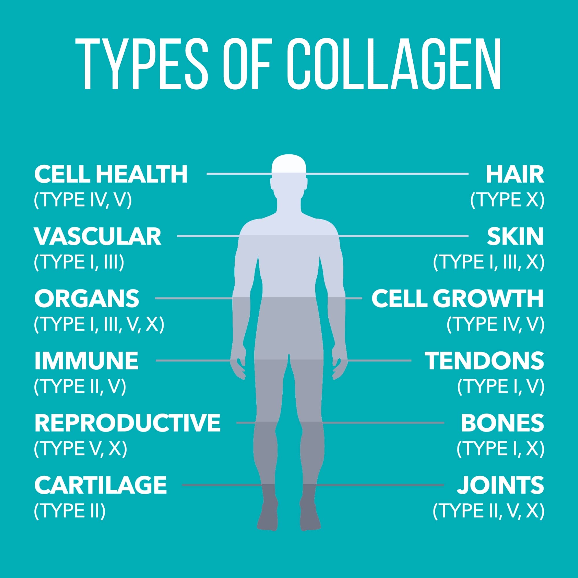 Non-GMO and gluten-free collagen creamer packaging