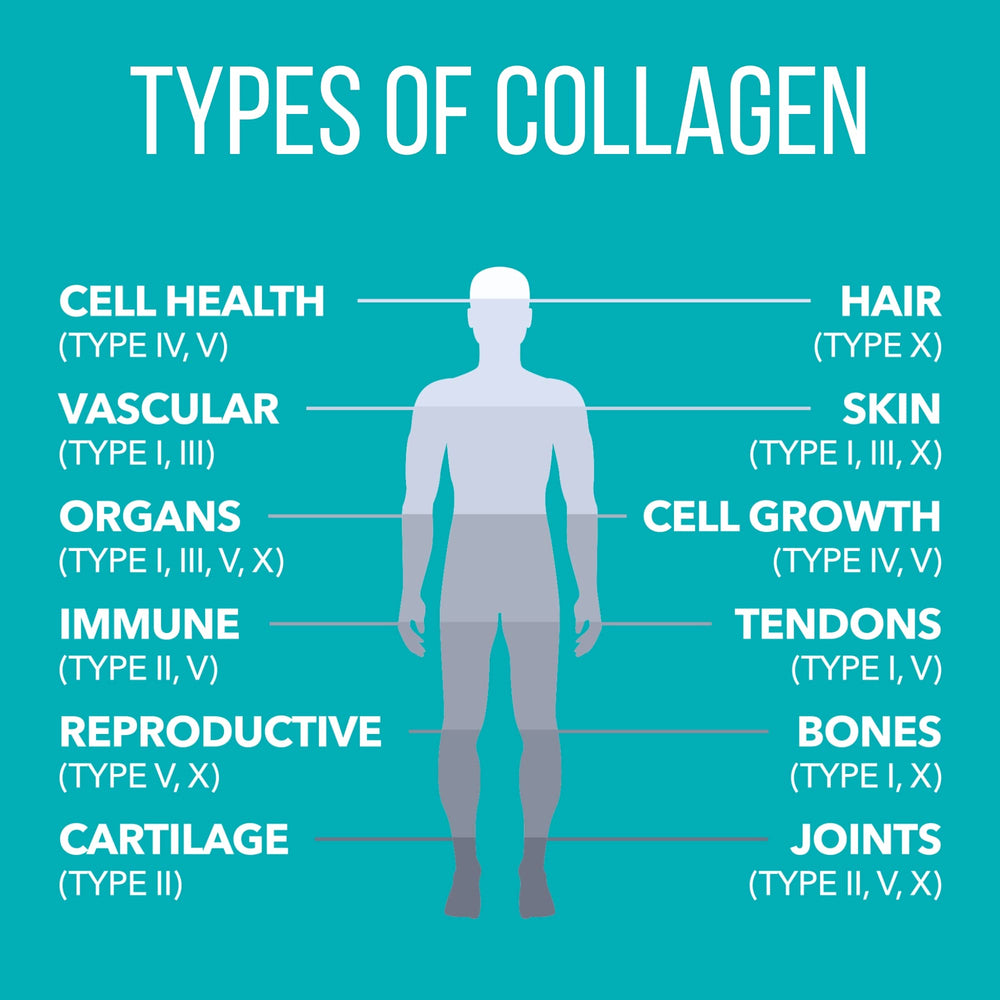 Non-GMO and gluten-free collagen creamer packaging