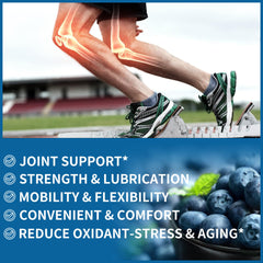 MSM content highlight for Natures Aid gummies