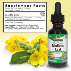 Mullein leaves and flowers used in Nature's Answer formulation