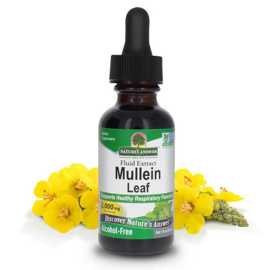 Nature's Answer Mullein Leaf liquid extract bottle, 1oz, two-pack