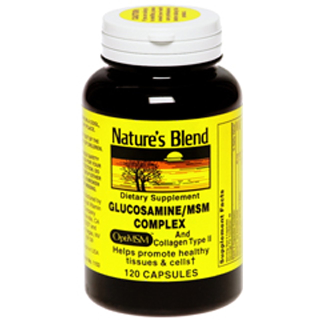 Nature's Blend Glucosamine MSM Complex packaging and capsules