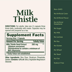 Milk thistle 250 mg capsules close-up