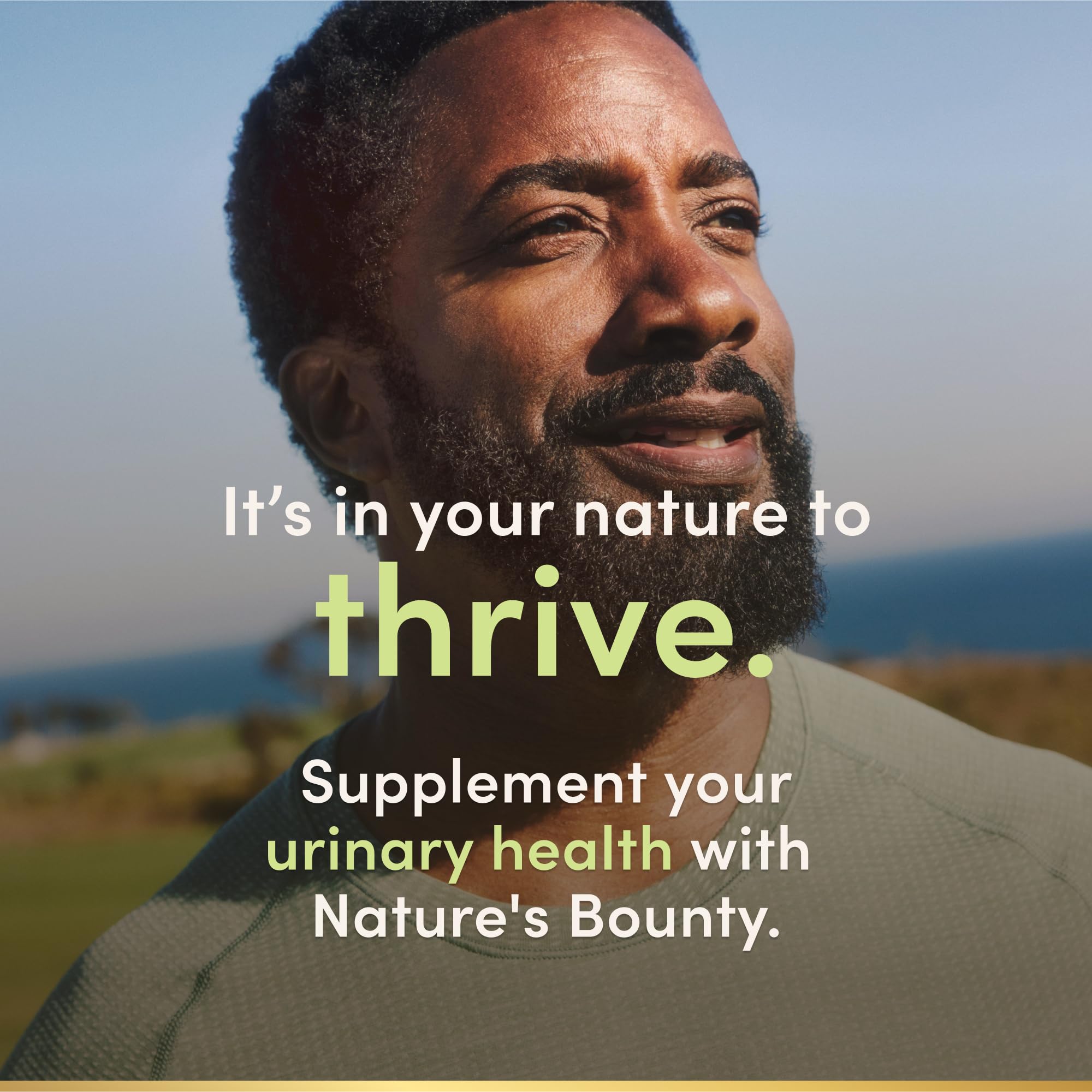 Prostate and urinary health concept with herbs