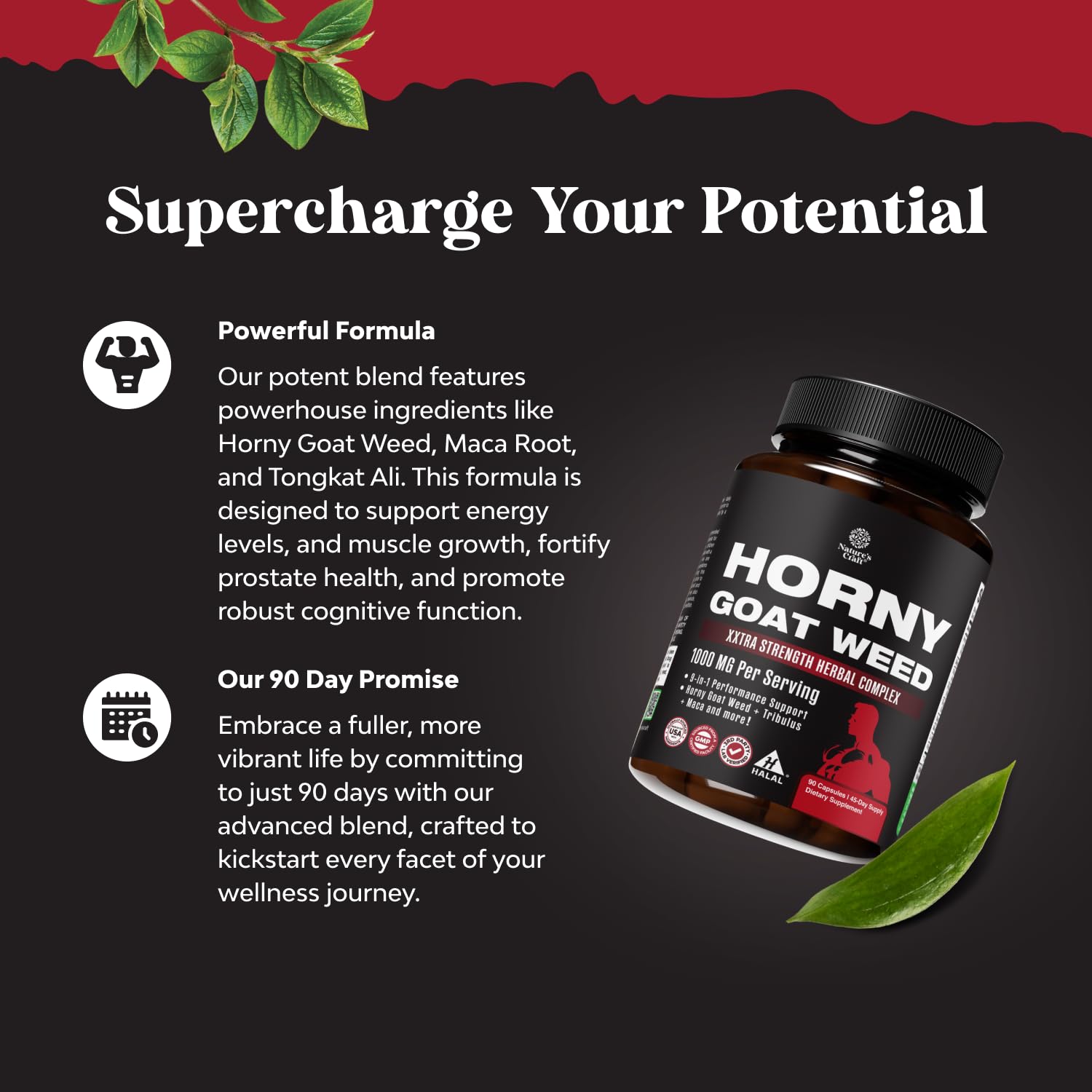 Close-up of Tongkat Ali, Panax Ginseng and Black Maca in the formula