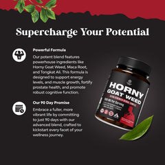 Close-up of Tongkat Ali, Panax Ginseng and Black Maca in the formula