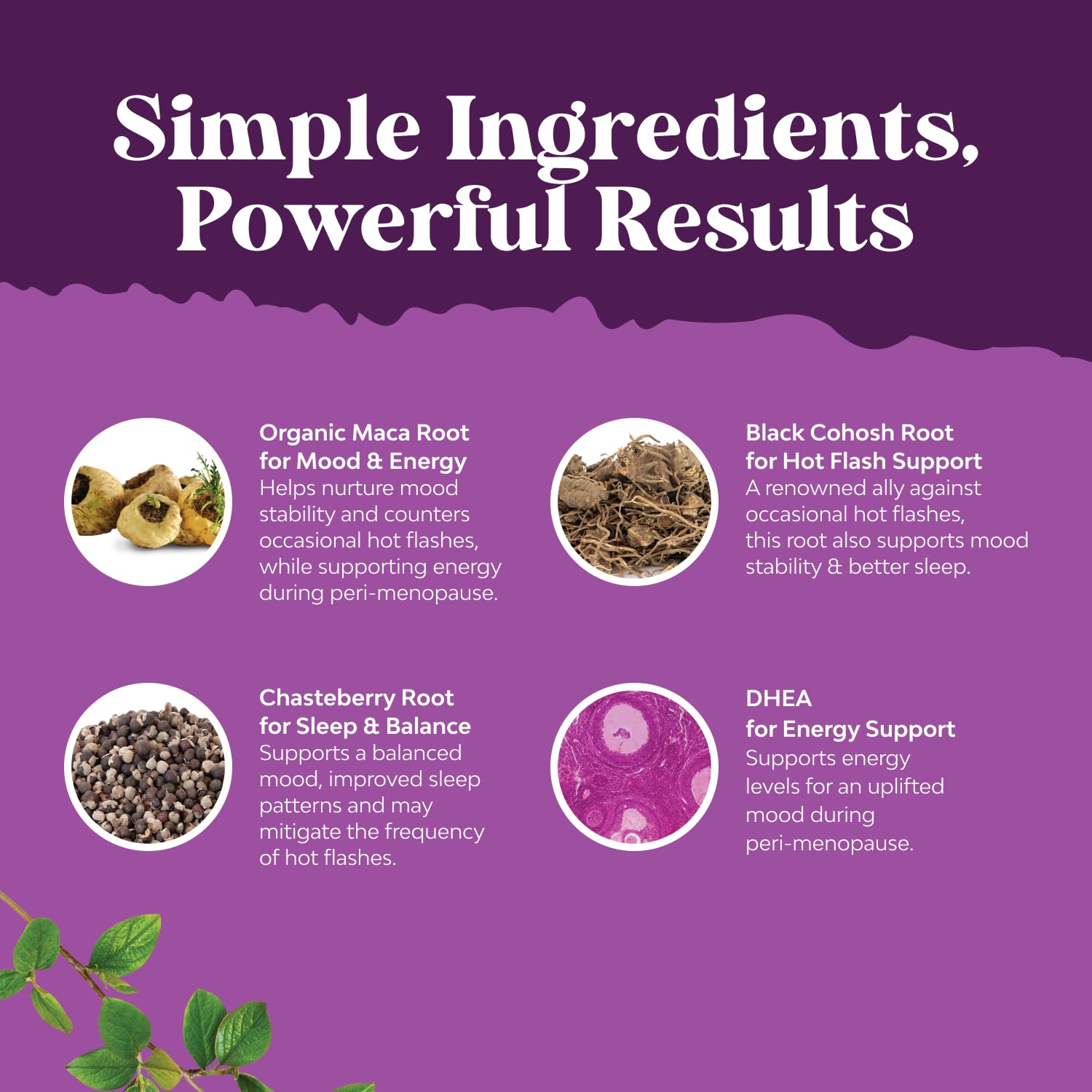 Nature's Craft perimenopause energy mood visual suggests daily vitality.