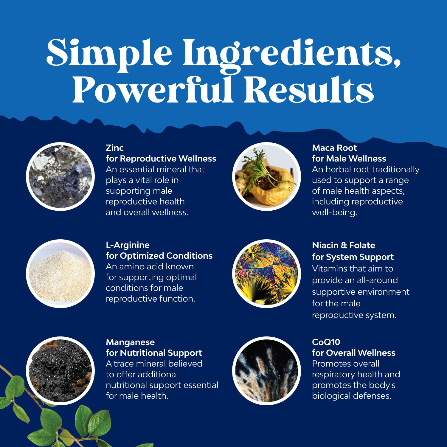 Natures Craft Pre Conceive maca root detail indicating natural support for fertility.