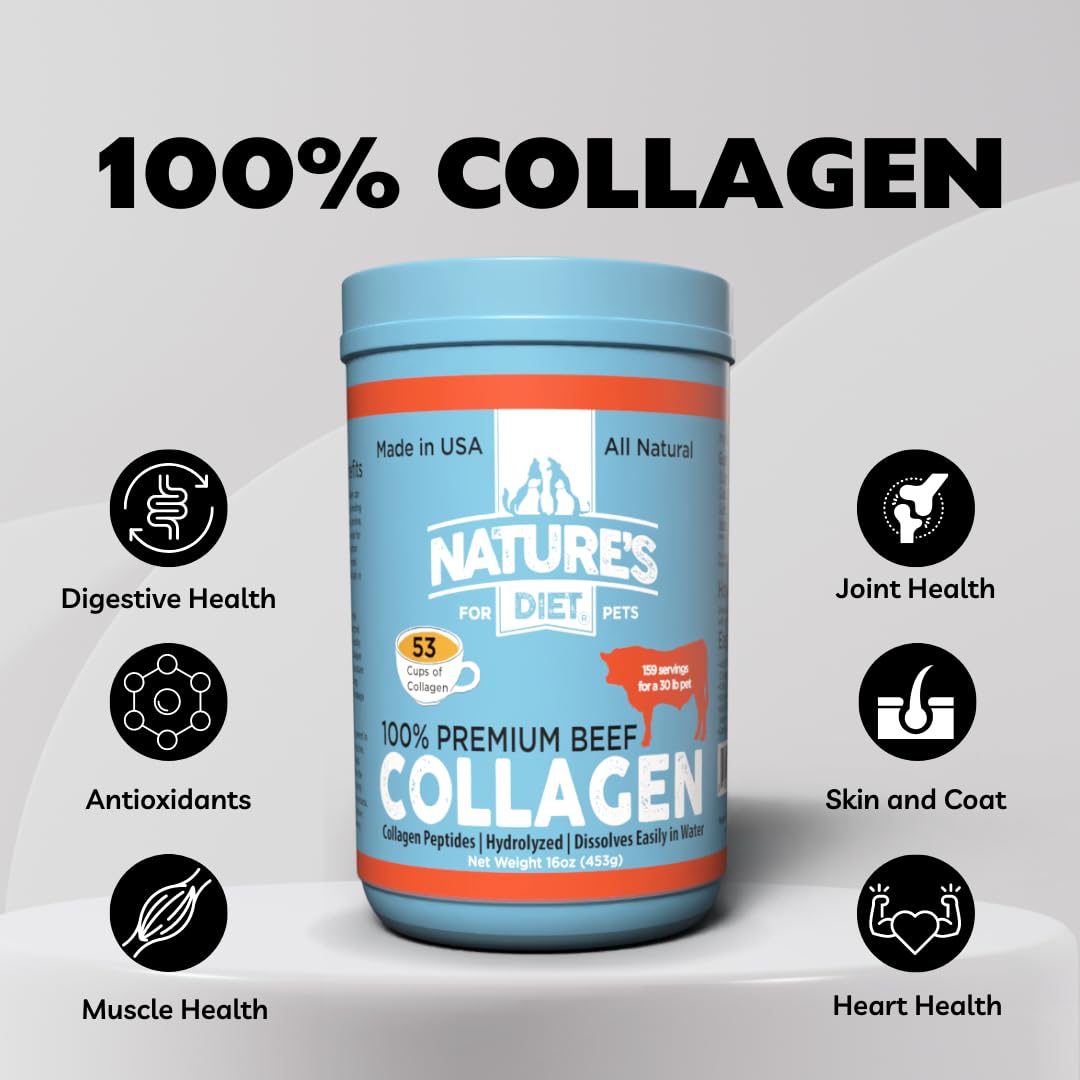 Scoop of collagen peptides poured into pet food