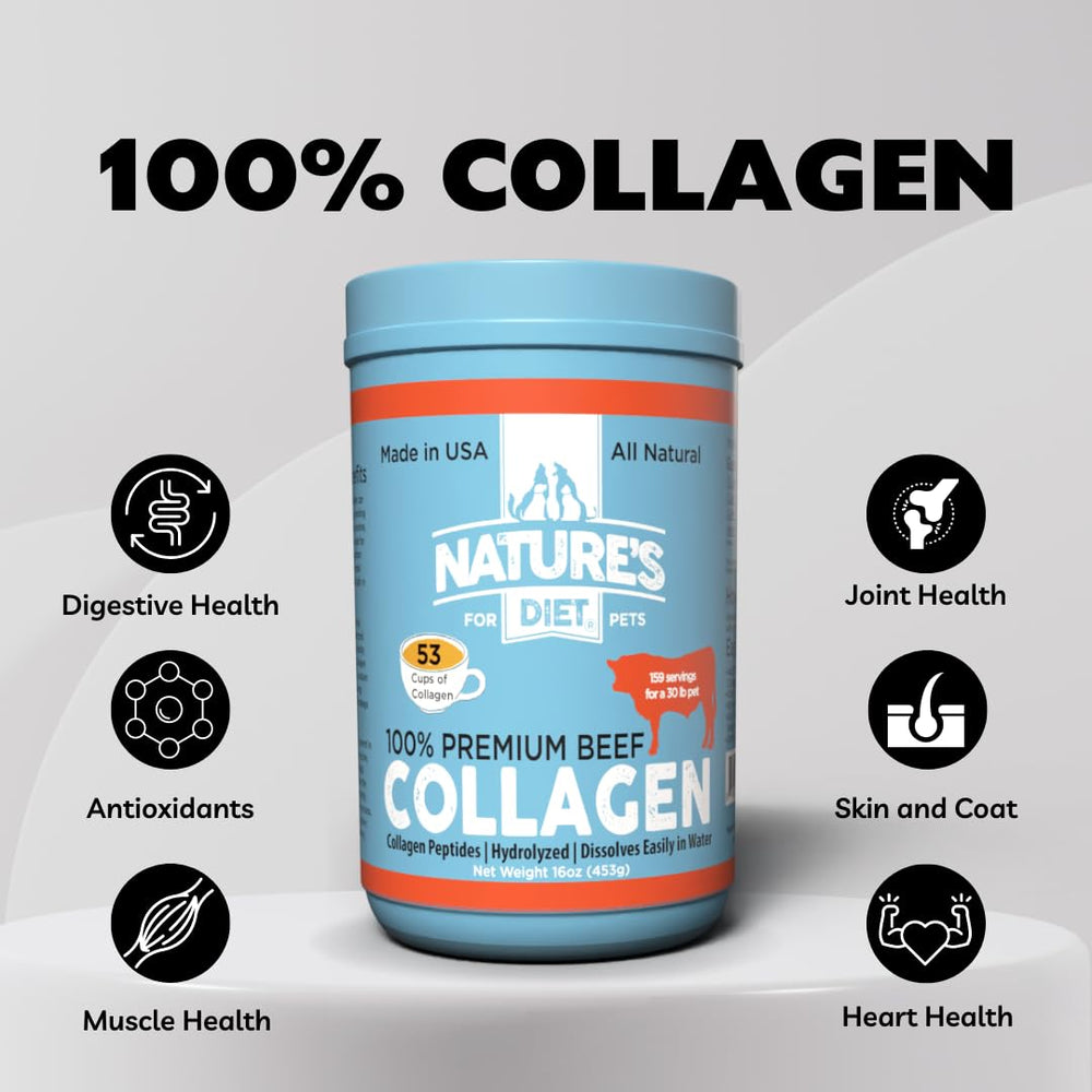 Scoop of collagen peptides poured into pet food